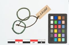 Foto von Bronzering (NHMW-PRAE-026266)